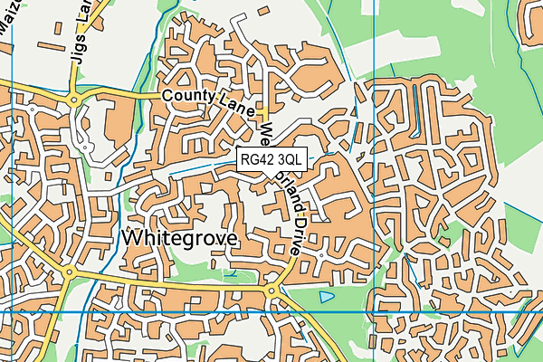 RG42 3QL map - OS VectorMap District (Ordnance Survey)