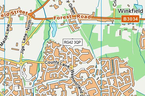 Westmorland Park map (RG42 3QP) - OS VectorMap District (Ordnance Survey)