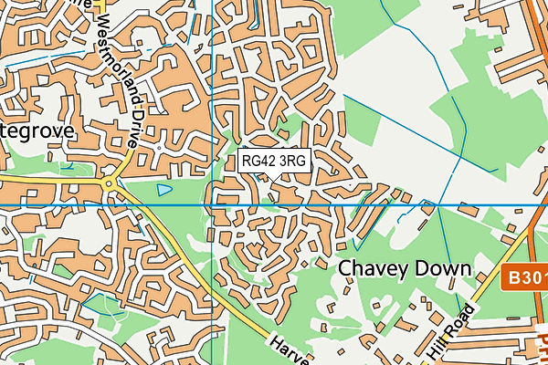 RG42 3RG map - OS VectorMap District (Ordnance Survey)