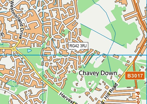 RG42 3RJ map - OS VectorMap District (Ordnance Survey)