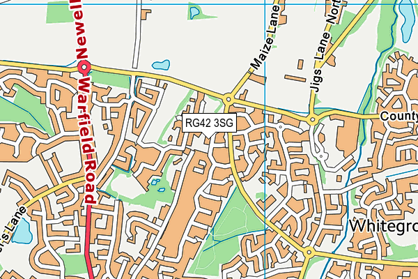 RG42 3SG map - OS VectorMap District (Ordnance Survey)