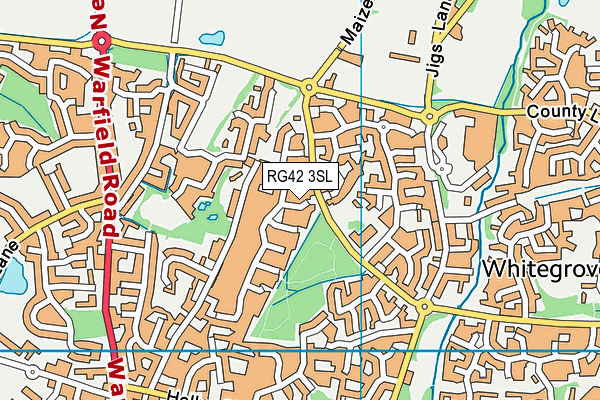 RG42 3SL map - OS VectorMap District (Ordnance Survey)