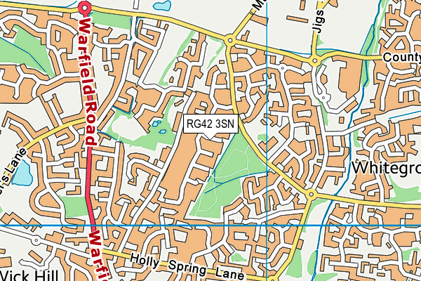 RG42 3SN map - OS VectorMap District (Ordnance Survey)