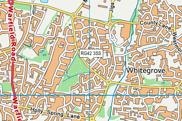 RG42 3SS map - OS VectorMap District (Ordnance Survey)