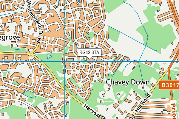 RG42 3TA map - OS VectorMap District (Ordnance Survey)