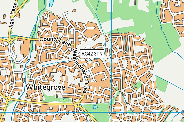 RG42 3TN map - OS VectorMap District (Ordnance Survey)