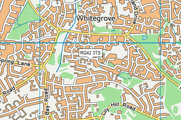 RG42 3TS map - OS VectorMap District (Ordnance Survey)