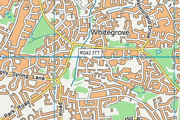 RG42 3TT map - OS VectorMap District (Ordnance Survey)