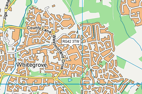 RG42 3TW map - OS VectorMap District (Ordnance Survey)