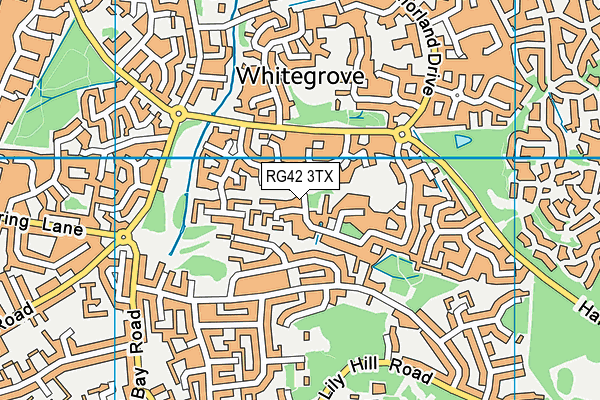 RG42 3TX map - OS VectorMap District (Ordnance Survey)