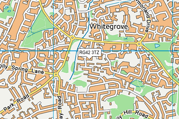RG42 3TZ map - OS VectorMap District (Ordnance Survey)
