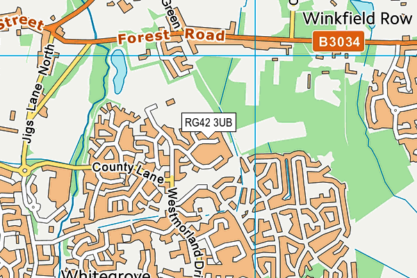 RG42 3UB map - OS VectorMap District (Ordnance Survey)