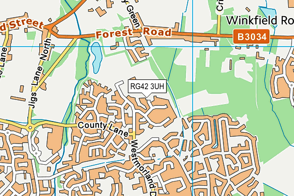 RG42 3UH map - OS VectorMap District (Ordnance Survey)