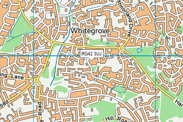 RG42 3UJ map - OS VectorMap District (Ordnance Survey)