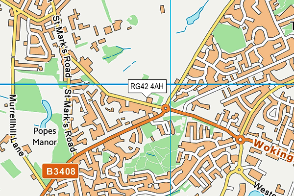 Newbold School map (RG42 4AH) - OS VectorMap District (Ordnance Survey)