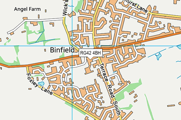 RG42 4BH map - OS VectorMap District (Ordnance Survey)