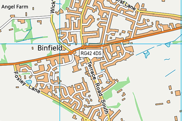 RG42 4DS map - OS VectorMap District (Ordnance Survey)