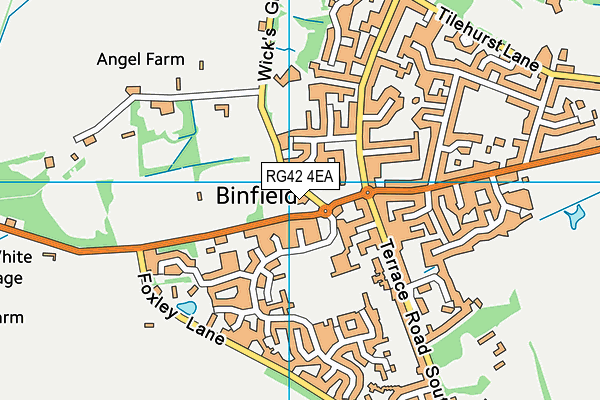 RG42 4EA map - OS VectorMap District (Ordnance Survey)