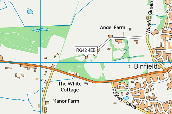 RG42 4EB map - OS VectorMap District (Ordnance Survey)