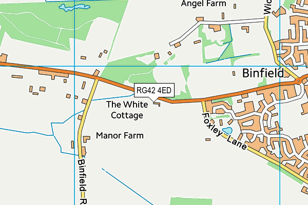 RG42 4ED map - OS VectorMap District (Ordnance Survey)