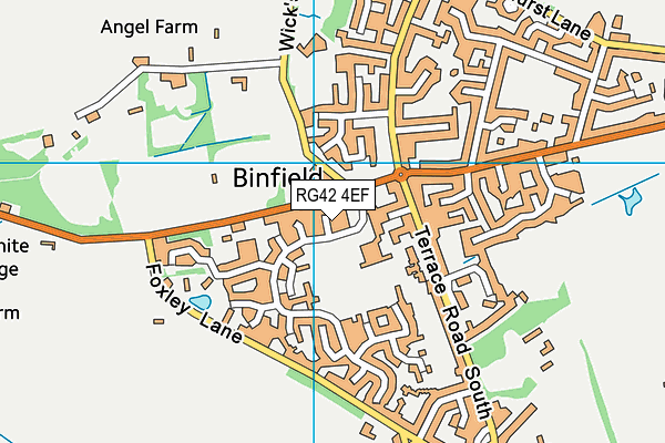 RG42 4EF map - OS VectorMap District (Ordnance Survey)