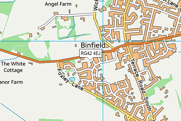 RG42 4EJ map - OS VectorMap District (Ordnance Survey)