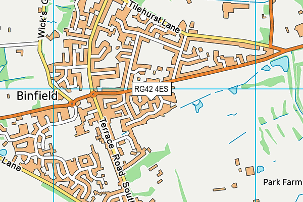 RG42 4ES map - OS VectorMap District (Ordnance Survey)