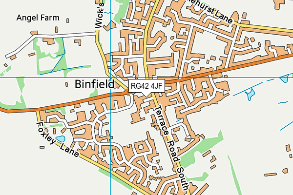 RG42 4JF map - OS VectorMap District (Ordnance Survey)
