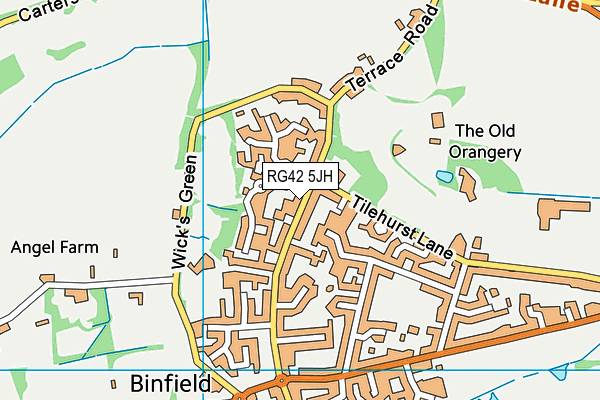 RG42 5JH map - OS VectorMap District (Ordnance Survey)