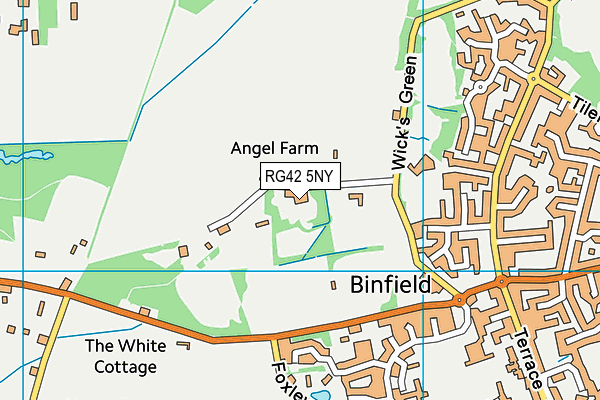 RG42 5NY map - OS VectorMap District (Ordnance Survey)