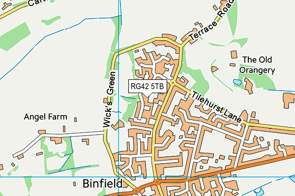 RG42 5TB map - OS VectorMap District (Ordnance Survey)