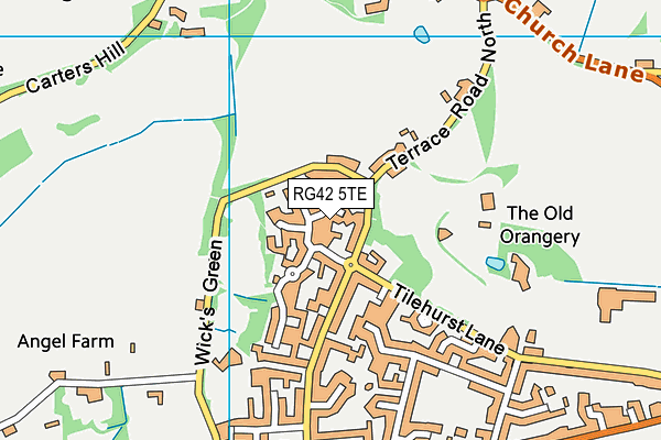 RG42 5TE map - OS VectorMap District (Ordnance Survey)