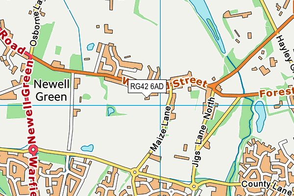 RG42 6AD map - OS VectorMap District (Ordnance Survey)