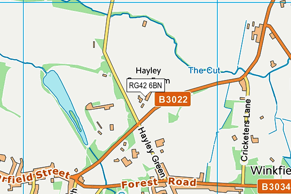 RG42 6BN map - OS VectorMap District (Ordnance Survey)