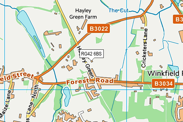 RG42 6BS map - OS VectorMap District (Ordnance Survey)