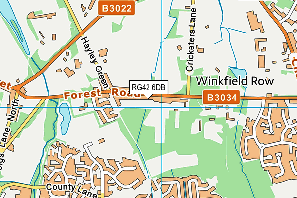 RG42 6DB map - OS VectorMap District (Ordnance Survey)