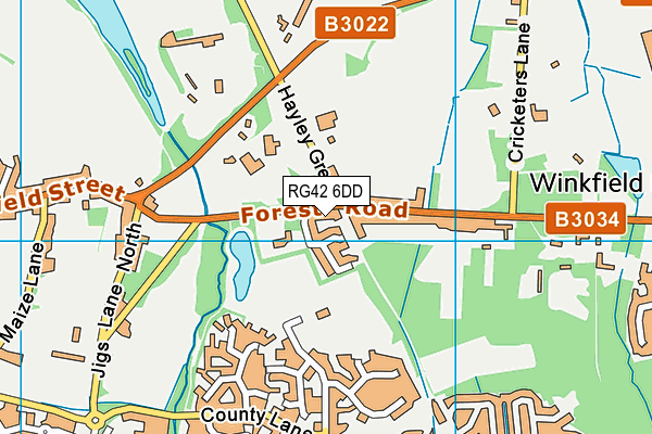 RG42 6DD map - OS VectorMap District (Ordnance Survey)