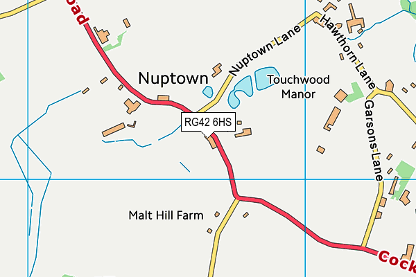 RG42 6HS map - OS VectorMap District (Ordnance Survey)