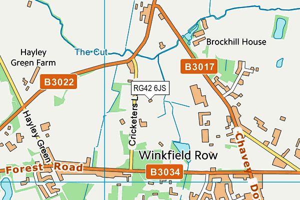 RG42 6JS map - OS VectorMap District (Ordnance Survey)