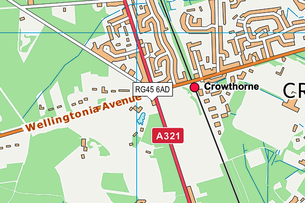 RG45 6AD map - OS VectorMap District (Ordnance Survey)