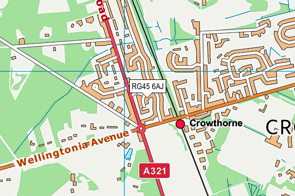 RG45 6AJ map - OS VectorMap District (Ordnance Survey)