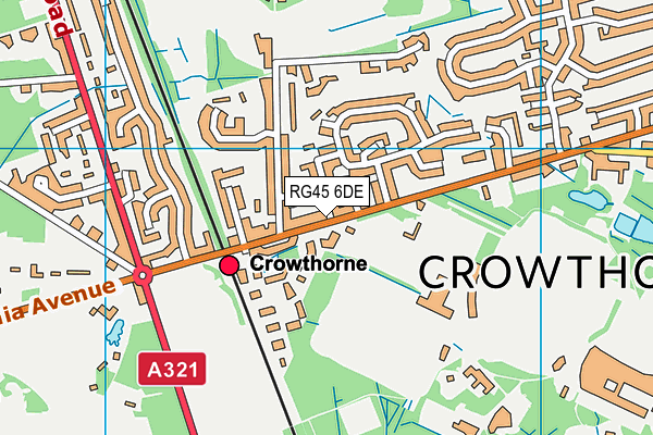 RG45 6DE map - OS VectorMap District (Ordnance Survey)