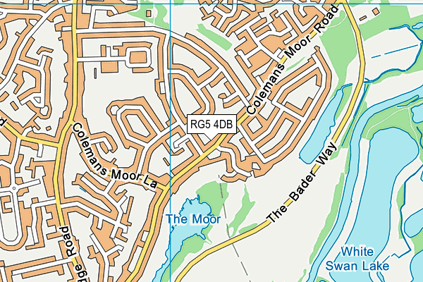 RG5 4DB map - OS VectorMap District (Ordnance Survey)