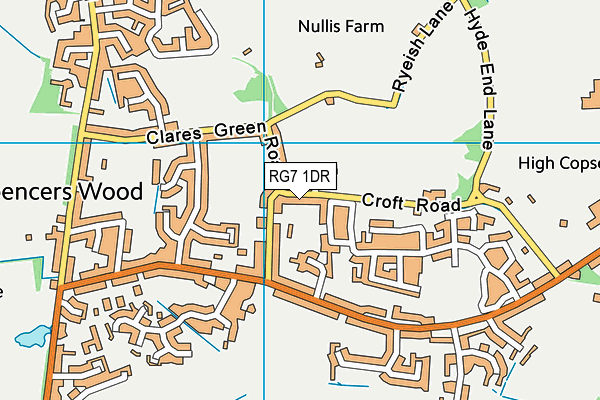 RG7 1DR map - OS VectorMap District (Ordnance Survey)