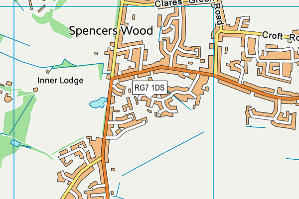 RG7 1DS map - OS VectorMap District (Ordnance Survey)