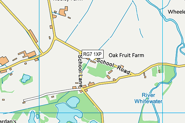 RG7 1XP map - OS VectorMap District (Ordnance Survey)