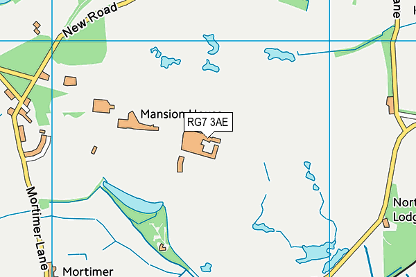 RG7 3AE map - OS VectorMap District (Ordnance Survey)