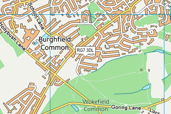 RG7 3DL map - OS VectorMap District (Ordnance Survey)
