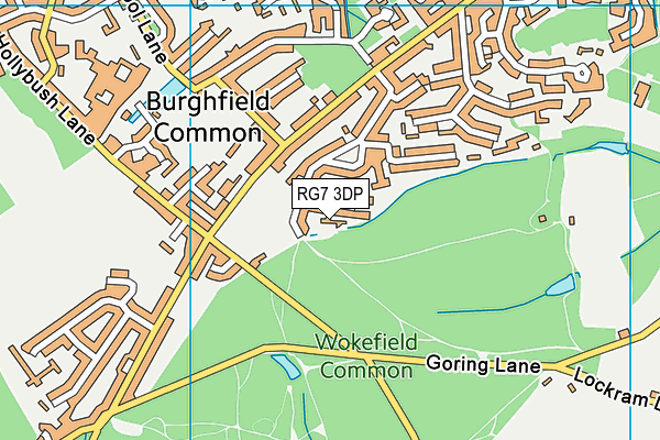 RG7 3DP map - OS VectorMap District (Ordnance Survey)