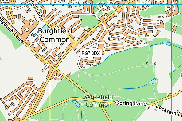 RG7 3DX map - OS VectorMap District (Ordnance Survey)